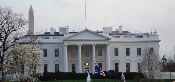 White-House