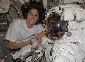  Sunita Williams may embark on third space mission on May 17