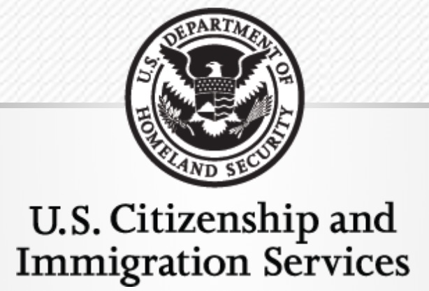  USCIS weighted median processing time increased by 80% since 2014: report