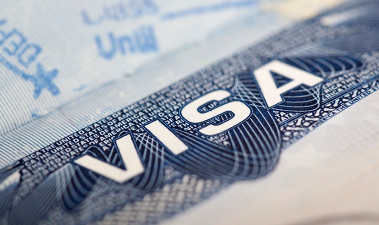  Odds have worsened in H-1B visa lottery: study