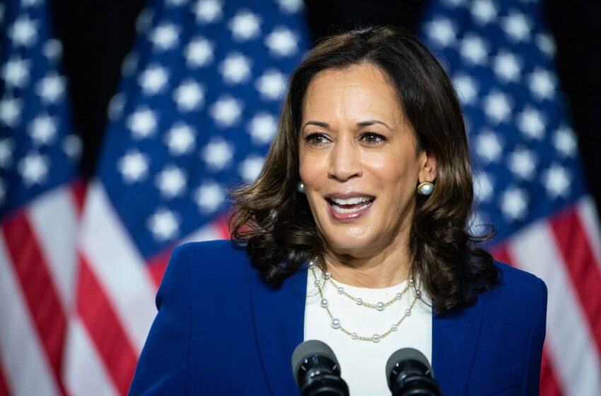  Who could be Kamala Harris’ VP if she replaces Biden?