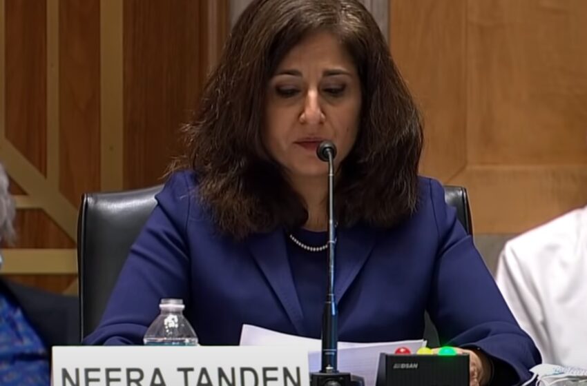  Biden names Neera Tanden as his domestic policy adviser