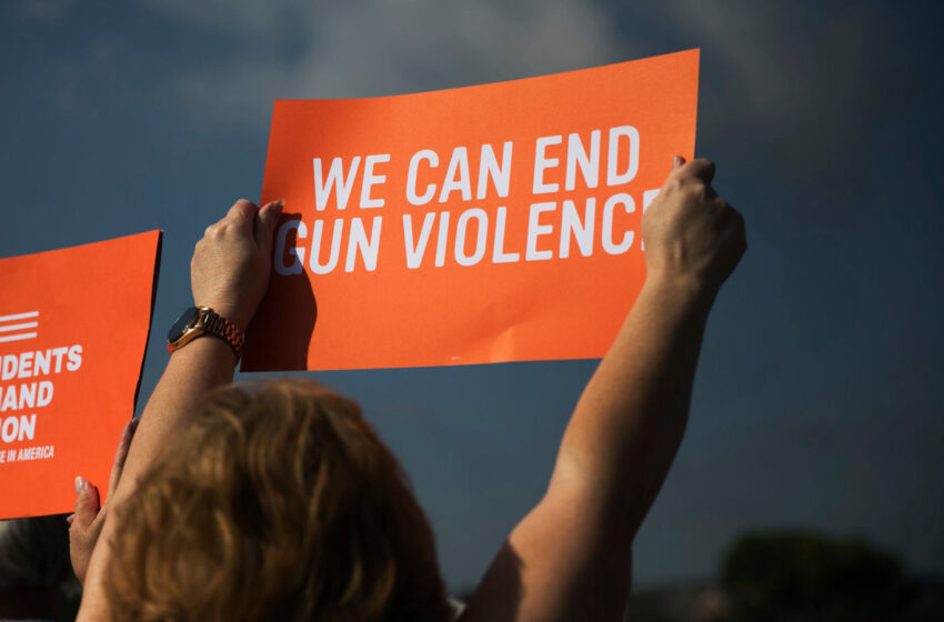  Indian Americans favor laws to check gun violence