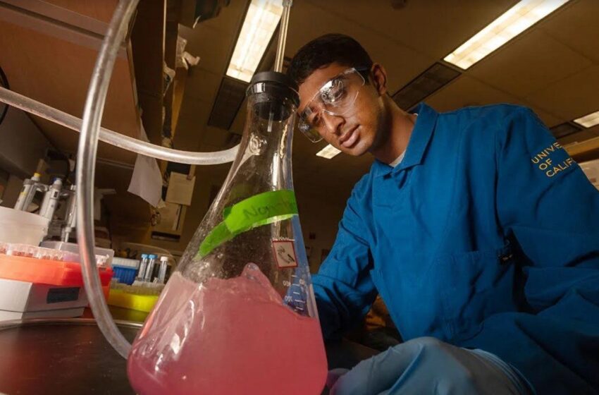  UC Davis undergrad Neeraj Senthil earns provisional patent