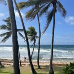 The fishing village of Bathsheba is a charming attraction on Barbados' east coast