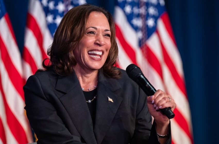  Kamala Harris gaining ground over Trump in polls