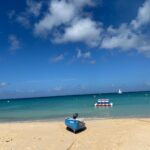 The turquoise waters of Pile Bay in the morning, where fishermen sell their fresh catches of the day.