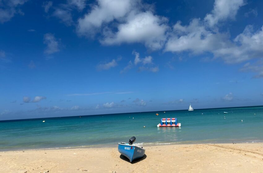 The turquoise waters of Pile Bay in the morning, where fishermen sell their fresh catches of the day.