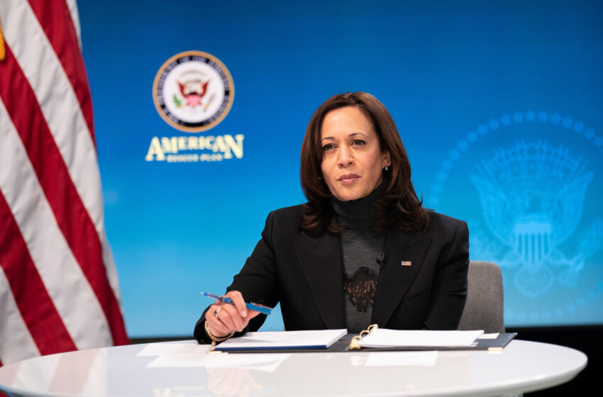 Vice President Kamala Harris at a diaspora virtual event hosted by the State Department, in May 2021. Official White House Photo by Lawrence Jackson