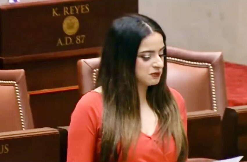 Jenifer Rajkumar seeks to designate May as Malayalee Heritage Month in New York
