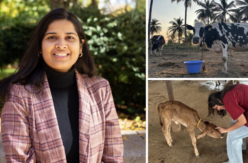 ‘The Paal’ wins the Mittal Institute’s 2025 Seed for Change award